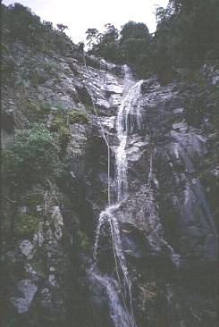 S25