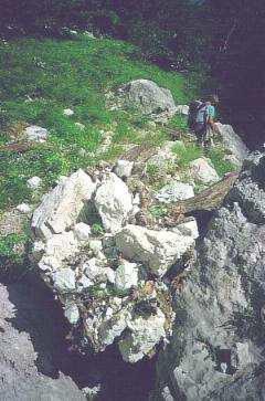 Uno scherzo della natura