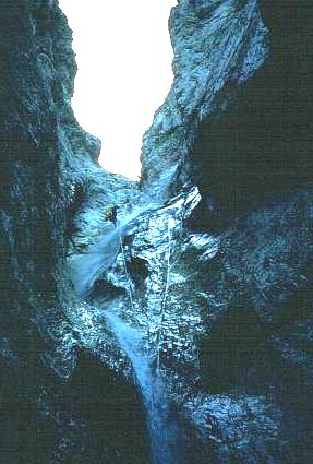 S50