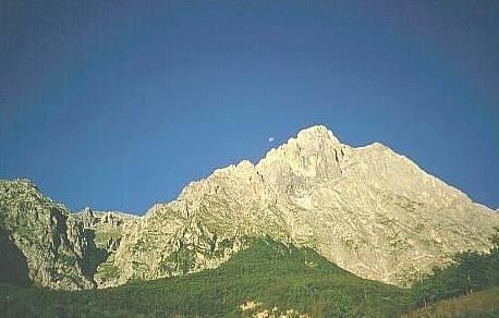 Alba