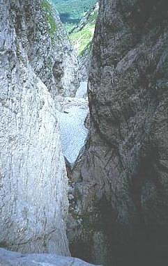 Veduta dell'S50