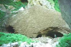 Il nevaio
