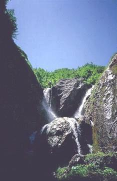 Il primo salto