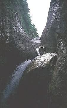 Salto