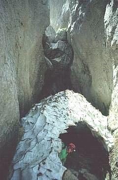 Il cannolo