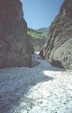 Ancora nevaio