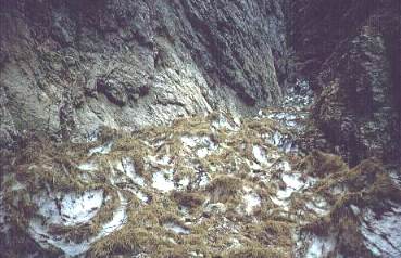 Nevaio